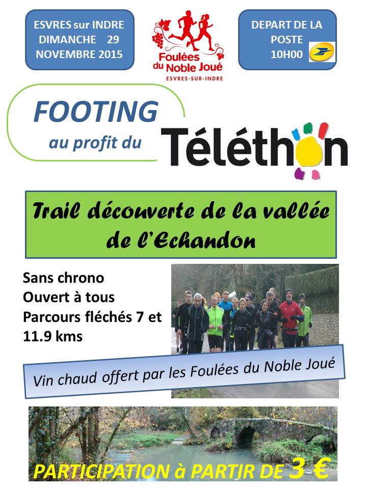 Affiche telethon 2015